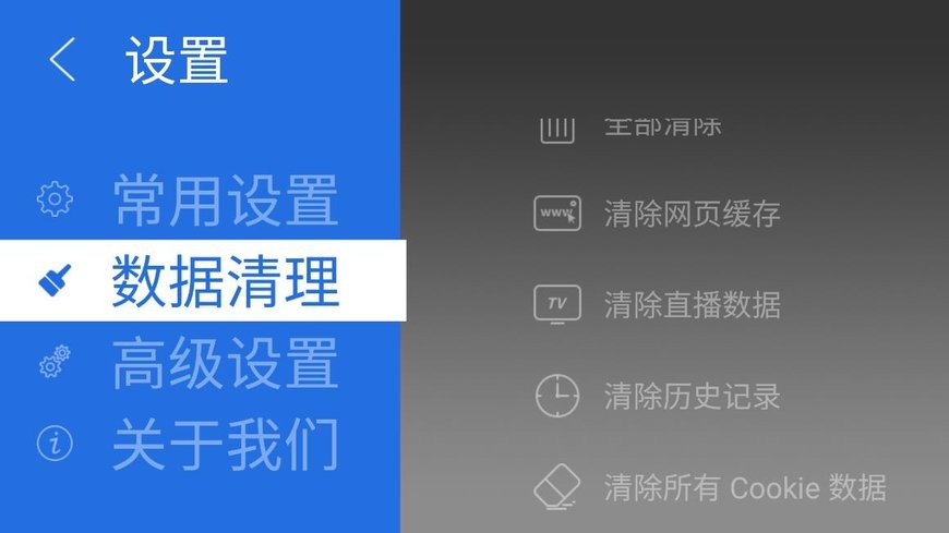 飞视浏览器tv版截图3