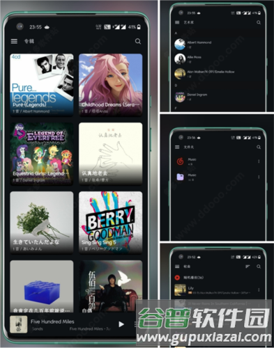Salt Playerapp