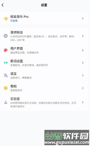 Salt Playerapp截图4