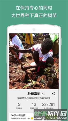 Forest破解版全树种版最新截图4