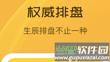 《天机八字排盘免费版》截图3