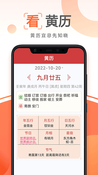 今日看大字版客户端截图3