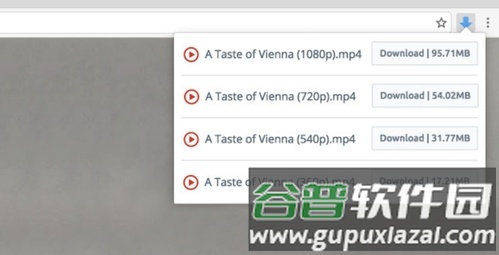 Video Downloader免会员破解版2