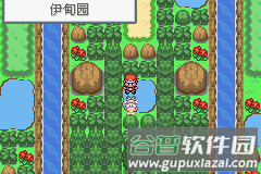 口袋妖怪永恒之炎4