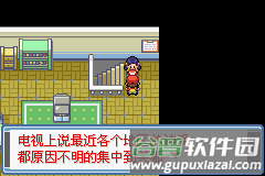 口袋妖怪永恒之炎8