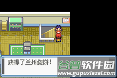 口袋妖怪永恒之炎9