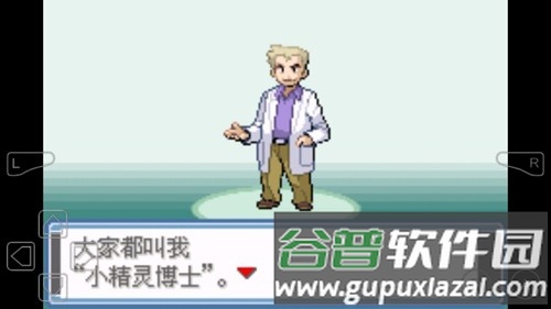 口袋妖怪永恒之炎全部作弊码截图2