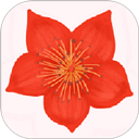 爱我崇左appv2.2.4