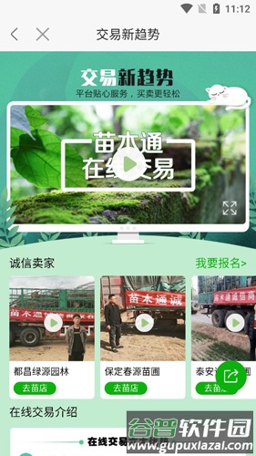 苗木通APP211