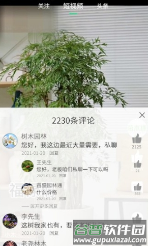 苗木通APP212