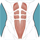 跟我练腹肌appv3.1.0