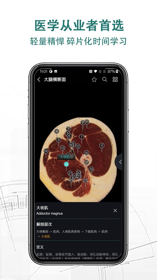 掌上3D解剖app下载