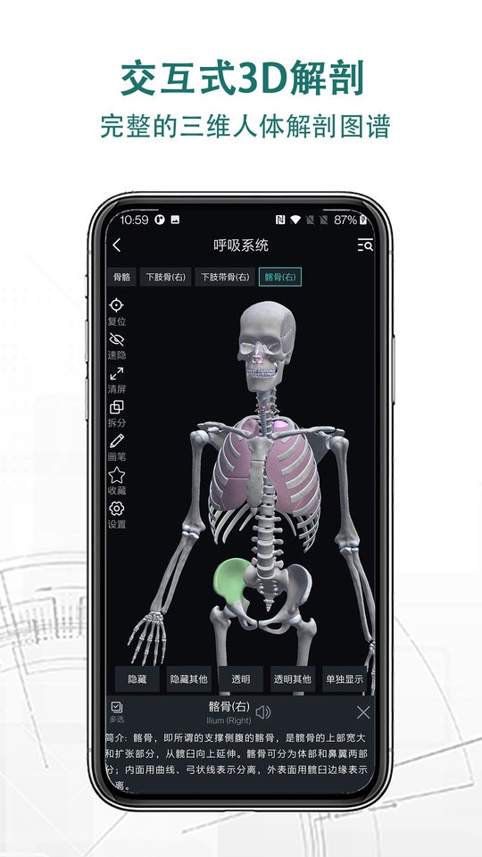 掌上3D解剖专业版截图1