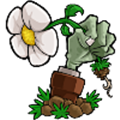 植物大战僵尸随机模仿者无限阳光版v1.1.5