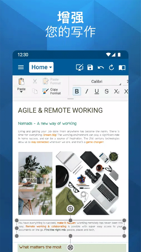 OfficeSuite pro中文版截图1