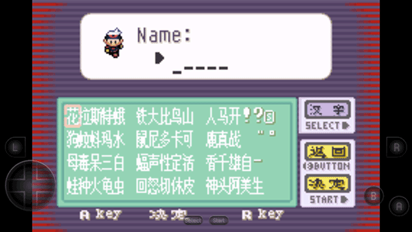 口袋妖怪蓝宝石中文版截图1