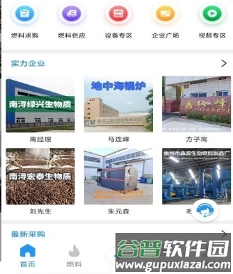 生物质燃料