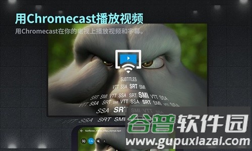 FX播放器app截图4