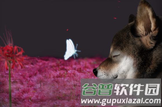 翌日波奇狗的历险记图片1