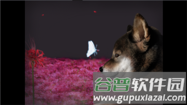 翌日波奇狗的历险记图片2