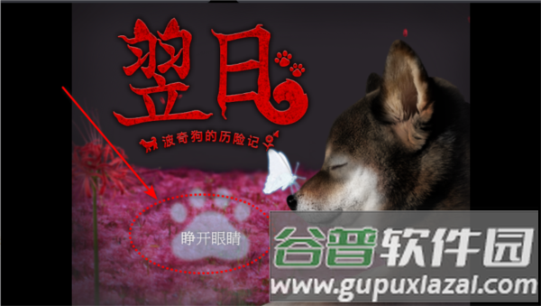 翌日波奇狗的历险记图片3