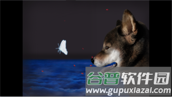 翌日波奇狗的历险记图片4