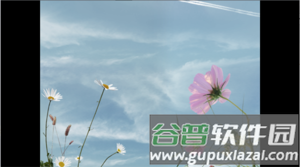 翌日波奇狗的历险记图片5