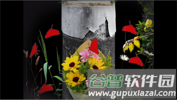 翌日波奇狗的历险记图片8