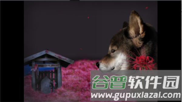 翌日波奇狗的历险记图片9