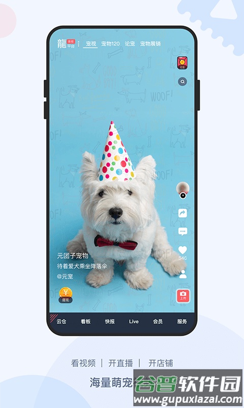 龙平台影视官方版截图1