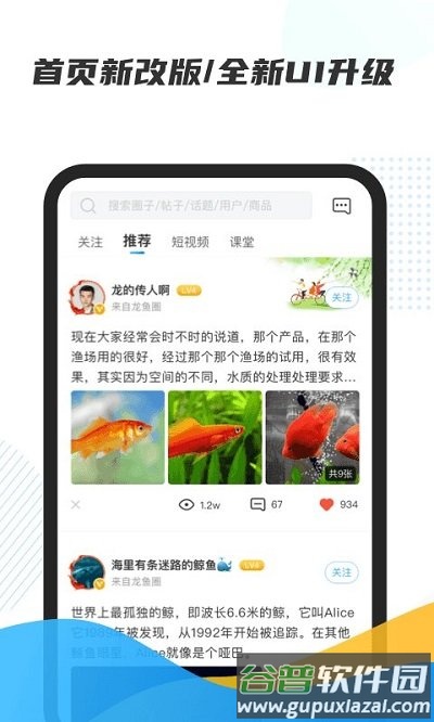 龙巅鱼邻最新版本截图1