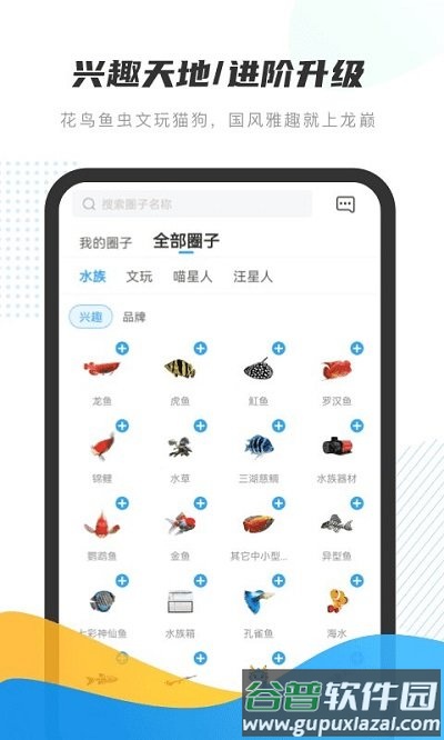 龙巅鱼邻最新版本截图2