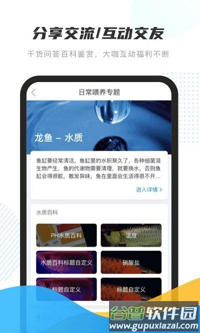 龙巅鱼邻最新版本截图3