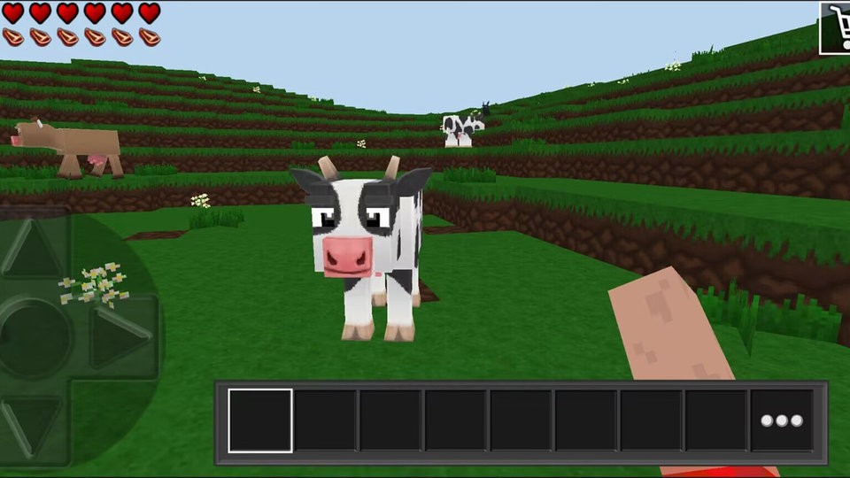 荒野之王官方版