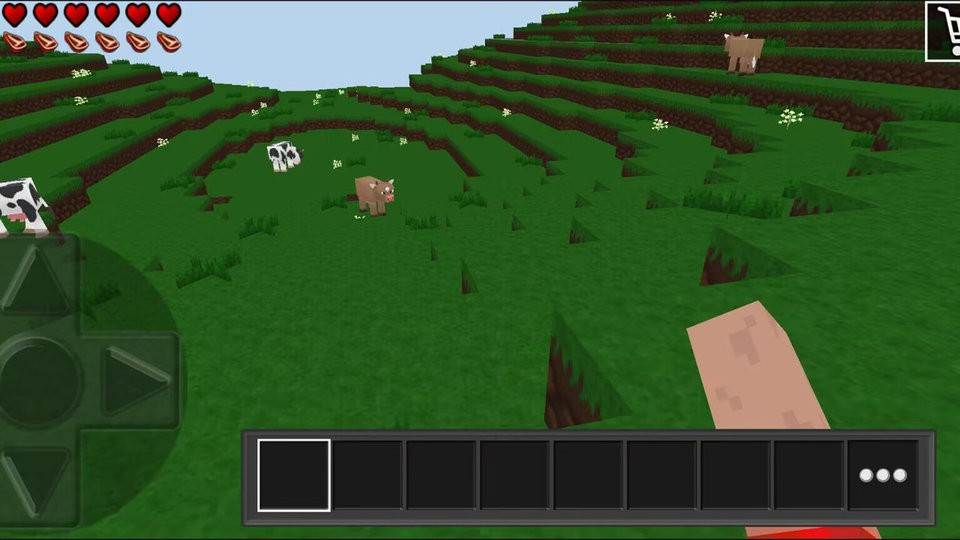 荒野之王最新版截图3