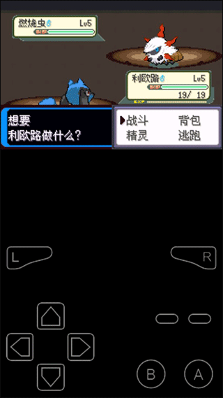 口袋妖怪决心汉化版截图3