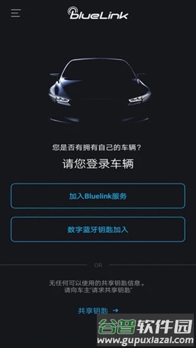 blueLinkAPP截图2