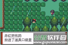 口袋妖怪特别篇赤破解版中文版新手攻略11