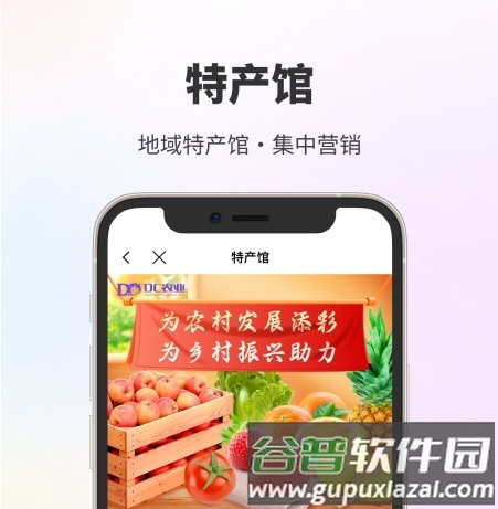 DC网3