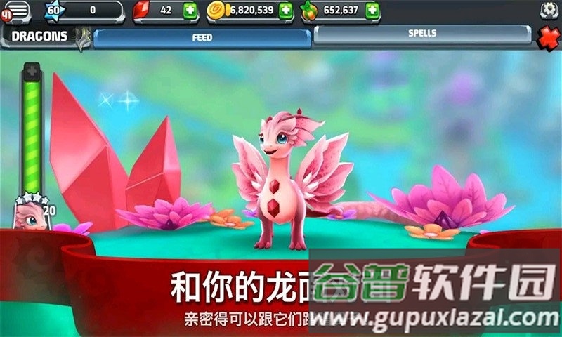 龙之驯兽师游戏截图2