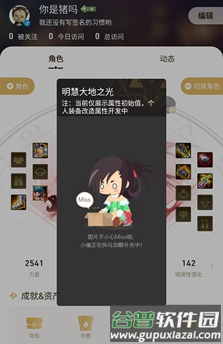DNF助手1
