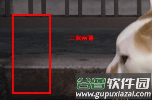 翌日猫之怪奇谭游戏图片2