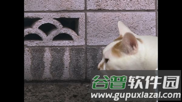 翌日猫之怪奇谭安卓版截图2