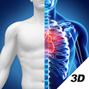 3D人体解剖图谱appv2.0.4