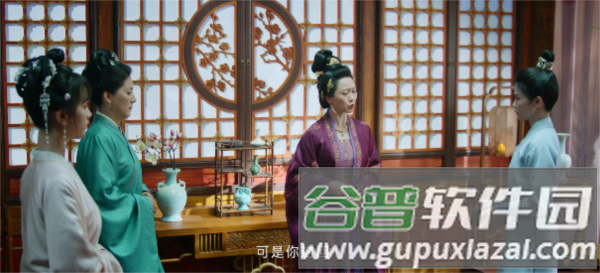 独享4K软件图片3