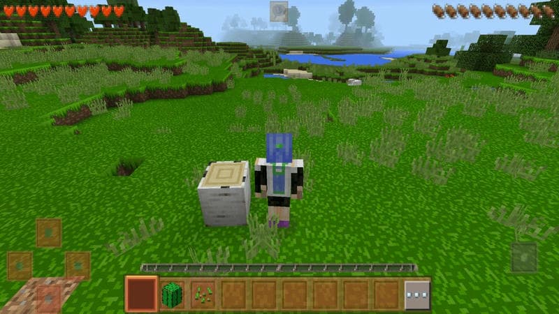 生存战争沙盒模组截图1