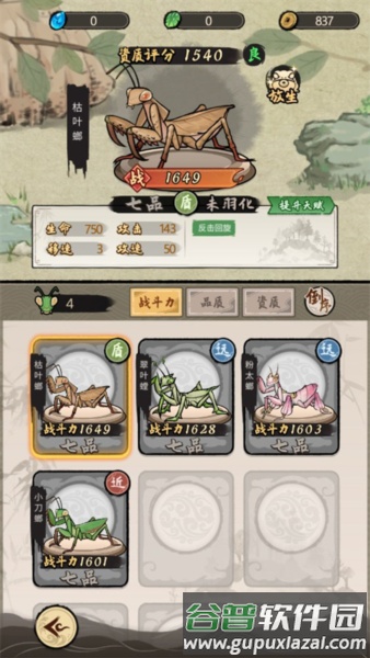螳螂介绍配图1