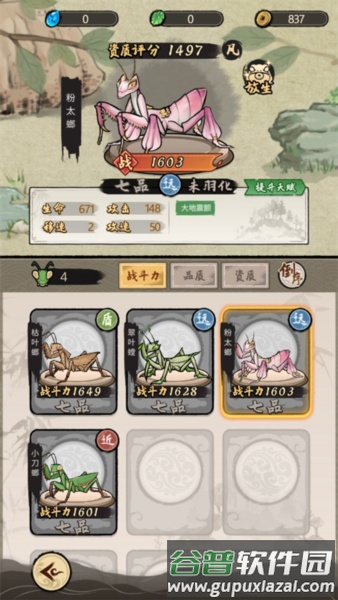 螳螂介绍配图3