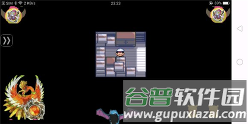 口袋妖怪冰雪城作弊版游戏截图5