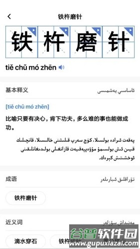 国语助手维汉翻译app截图2